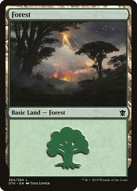 264-forest