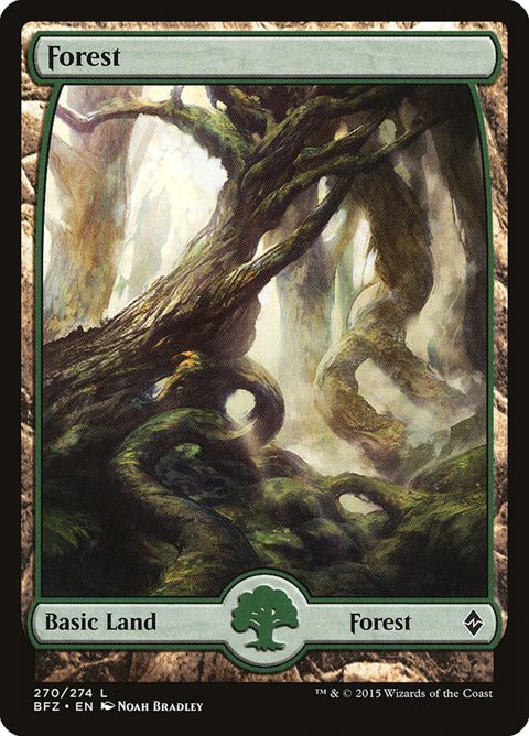 270-forest