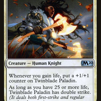 285-twinbladepaladin