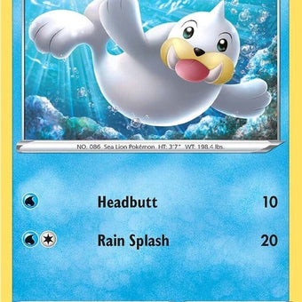 29-seel