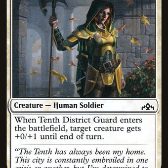 29-tenthdistrictguard