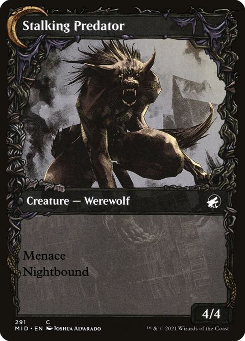 291-shadytravelerstalkingpredator