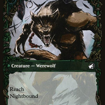 298-birdadmirerwingshredder