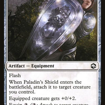 30-paladinsshield