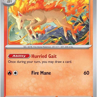 30-rapidash