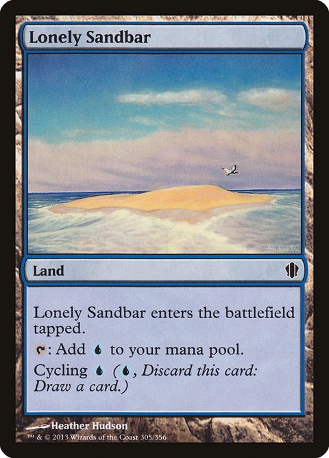 305-lonelysandbar
