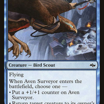 31-avensurveyor