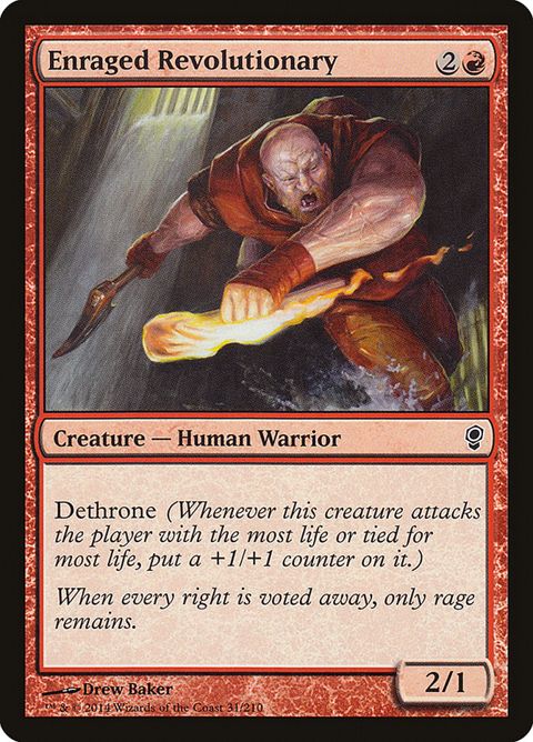 31-enragedrevolutionary