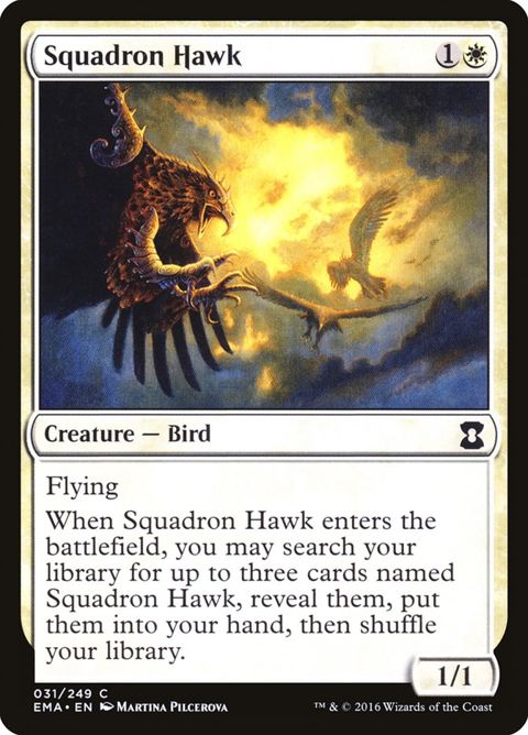 31-squadronhawk
