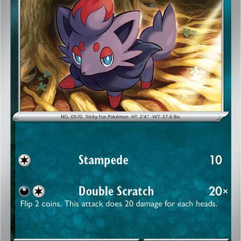 31-zorua