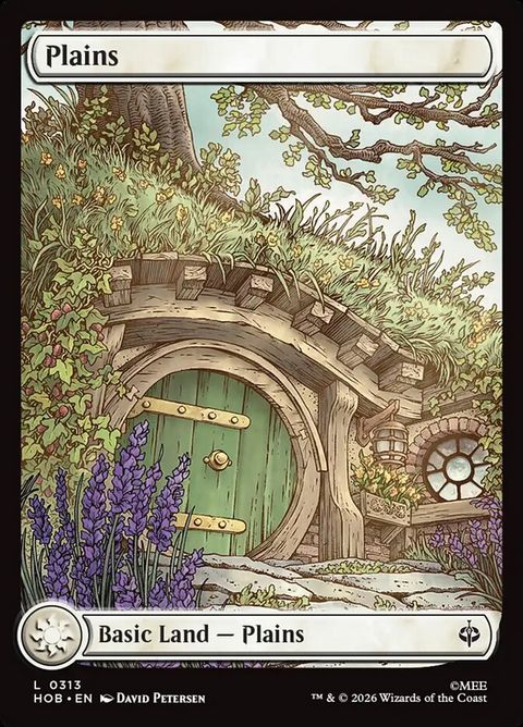 313-plains