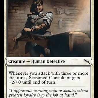 33-seasonedconsultant