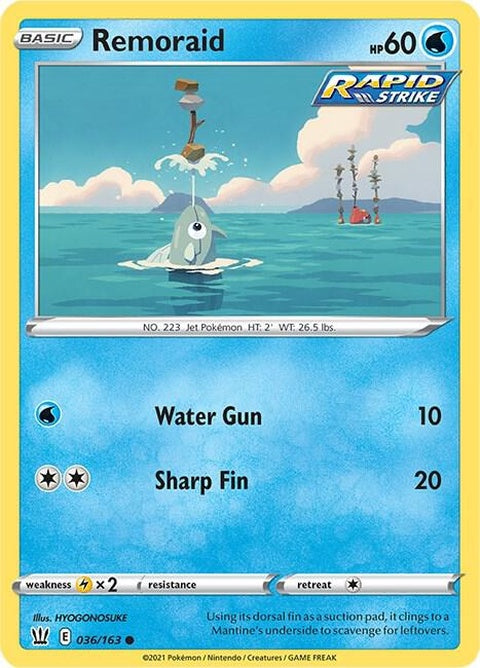 36-remoraid