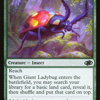 39-giantladybug