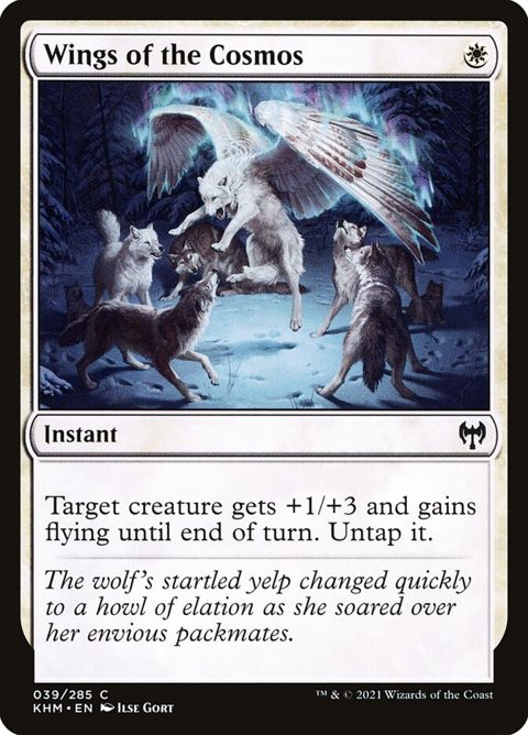 39-wingsofthecosmos