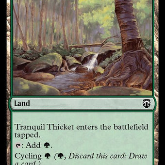 398-tranquilthicket