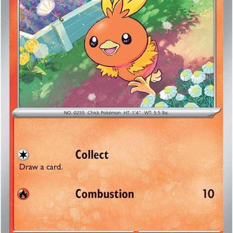 40-torchic