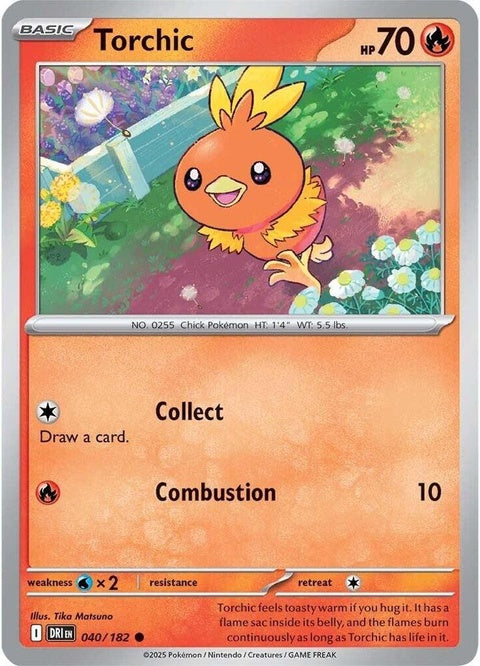 40-torchic