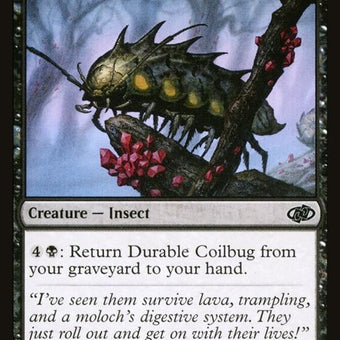408-durablecoilbug