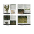 Bolt Action Armies of Imperial Japan: Third Edition