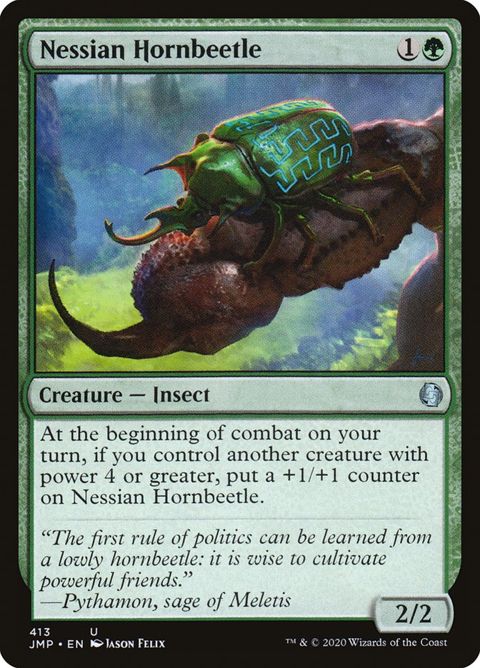 413-nessianhornbeetle