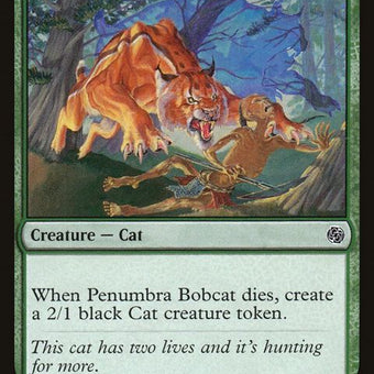 418-penumbrabobcat