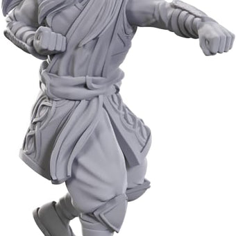 D&D Nolzur's Marvelous Miniatures: Archdruid & Martial Arts Adept