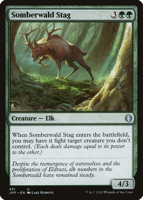 431-somberwaldstag