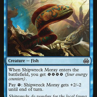 45-shipwreckmoray