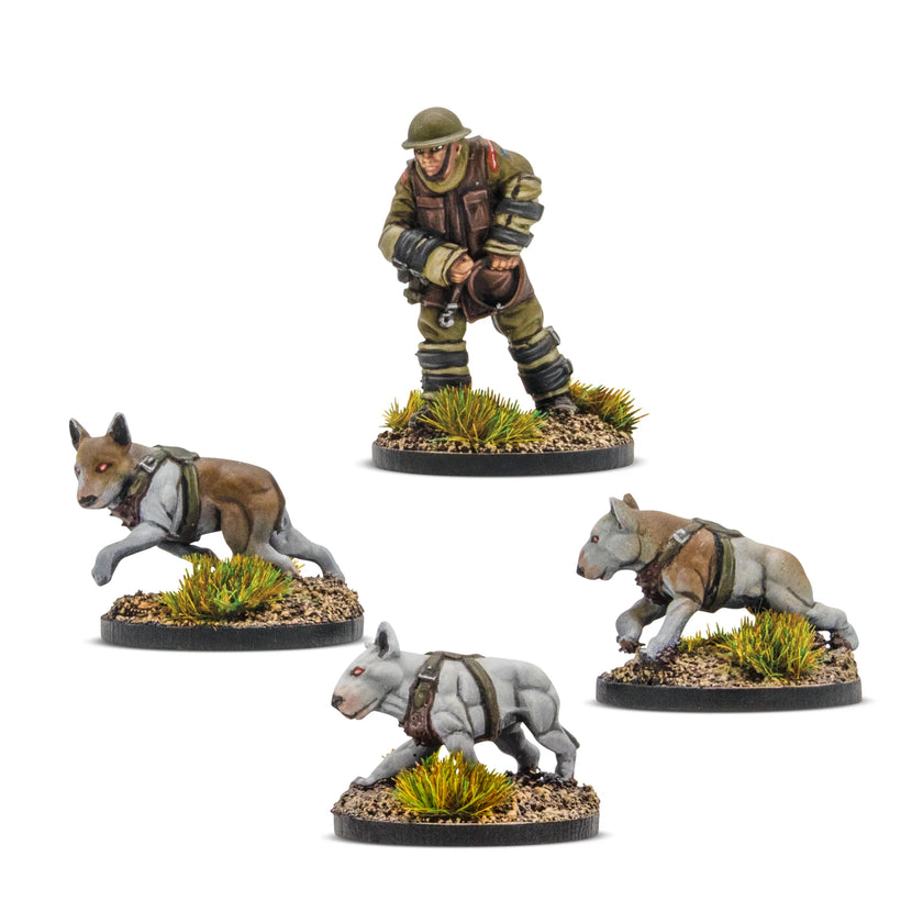 Konflikt '47 Cerberus Squad 1 Blister Pack
