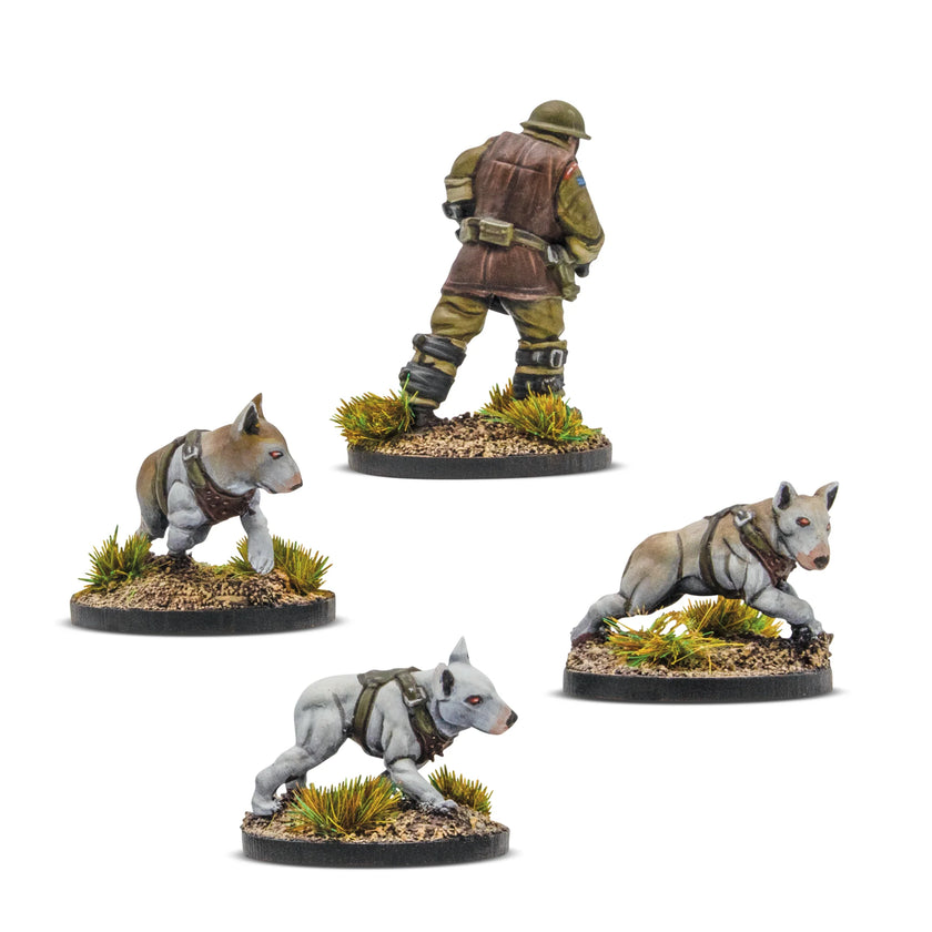 Konflikt '47 Cerberus Squad 1 Blister Pack