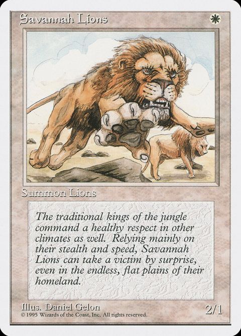 48-savannahlions