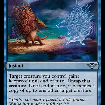 49-fleetingreflection