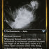 500-brinecomberbrineboundgift-b