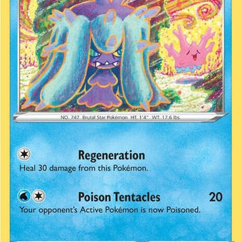 51-mareanie