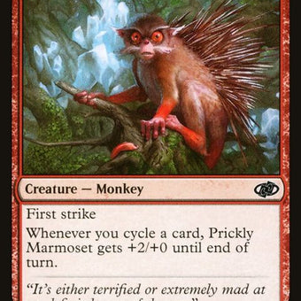 580-pricklymarmoset