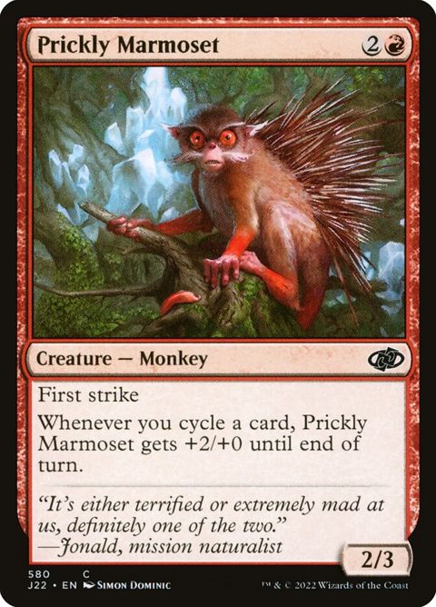 580-pricklymarmoset