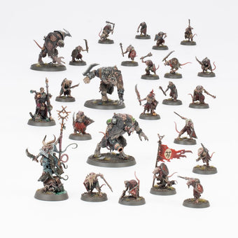 Warhammer Age of Sigmar: Starter Set