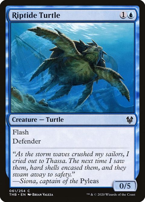 61-riptideturtle