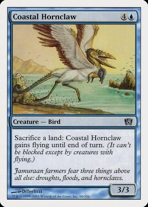 66-coastalhornclaw