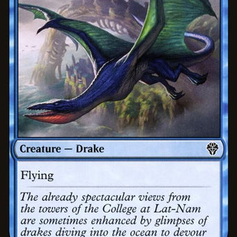 66-soaringdrake