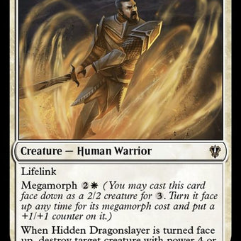 69-hiddendragonslayer