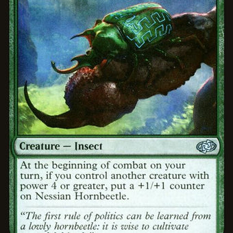 695-nessianhornbeetle