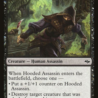 73-hoodedassassin
