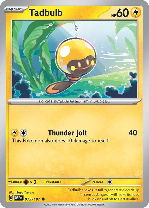 75-tadbulb075197