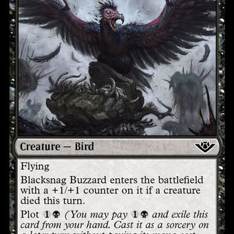 79-blacksnagbuzzard