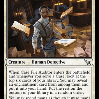 7†-casefileauditor