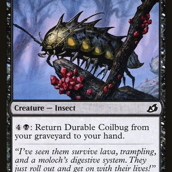 85-durablecoilbug