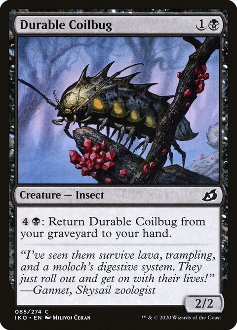 85-durablecoilbug
