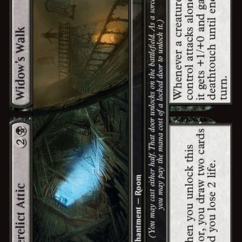 93-derelictatticwidowswalk